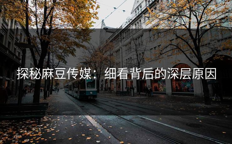 探秘麻豆传媒：细看背后的深层原因  第1张