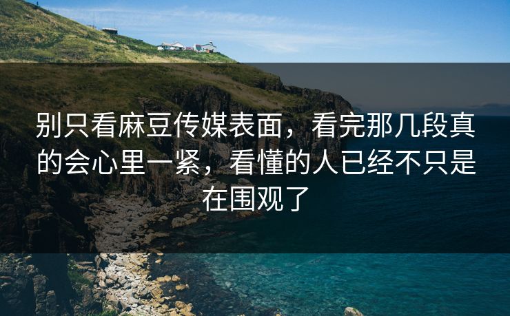 别只看麻豆传媒表面，看完那几段真的会心里一紧，看懂的人已经不只是在围观了  第1张