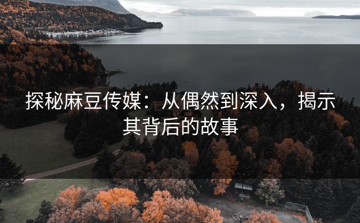 探秘麻豆传媒：从偶然到深入，揭示其背后的故事  第1张