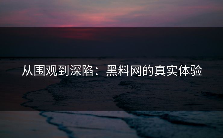 从围观到深陷：黑料网的真实体验  第1张