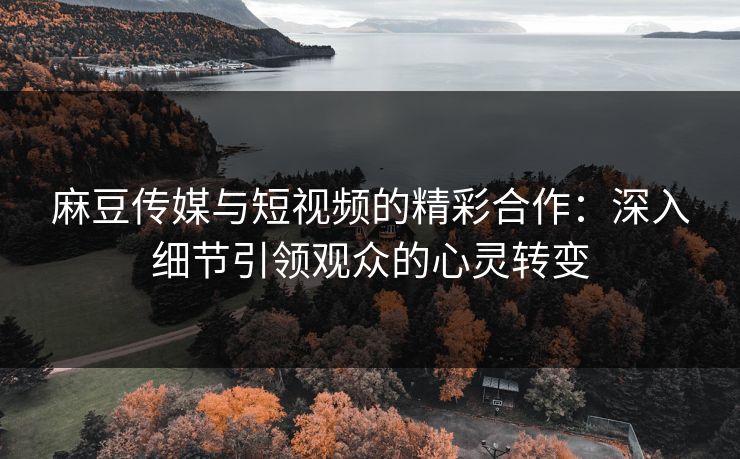 麻豆传媒与短视频的精彩合作：深入细节引领观众的心灵转变  第1张