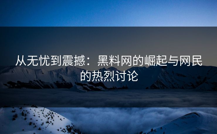 从无忧到震撼：黑料网的崛起与网民的热烈讨论  第1张