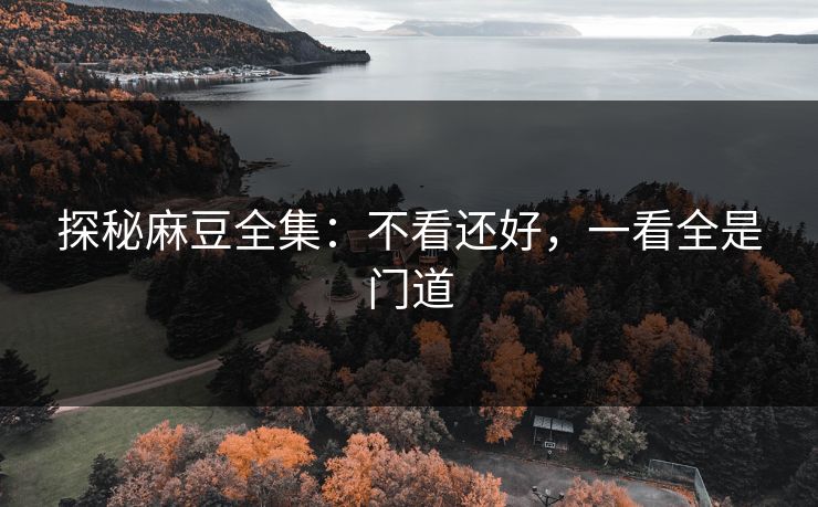 探秘麻豆全集:不看还好,一看全是门道 第1张 探秘麻豆全集:不看还好,一看全是门道 第1张
