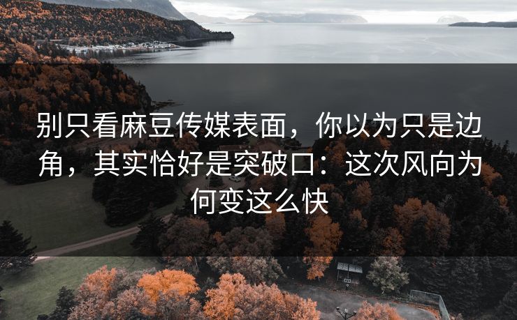 别只看麻豆传媒表面，你以为只是边角，其实恰好是突破口：这次风向为何变这么快  第1张