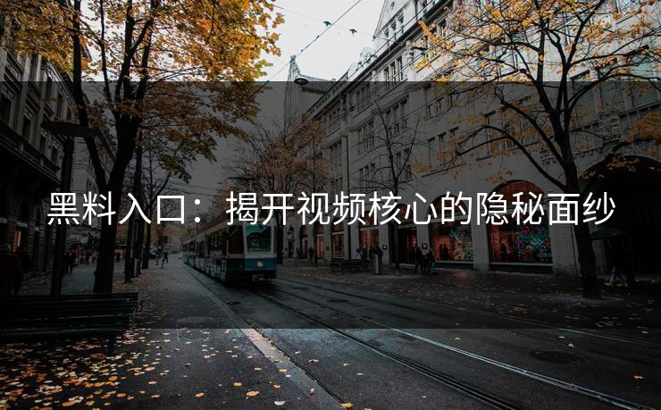 黑料入口：揭开视频核心的隐秘面纱  第1张