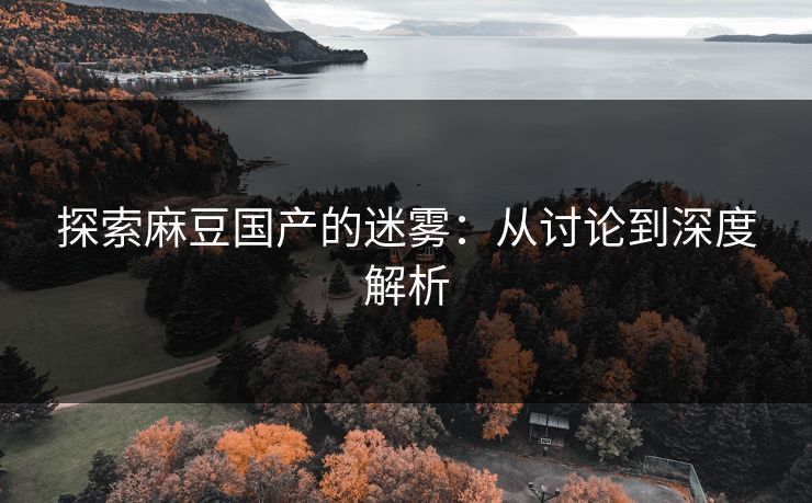 探索麻豆国产的迷雾：从讨论到深度解析  第1张